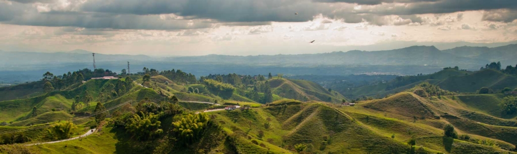 Colombia - il triangolo del caffè