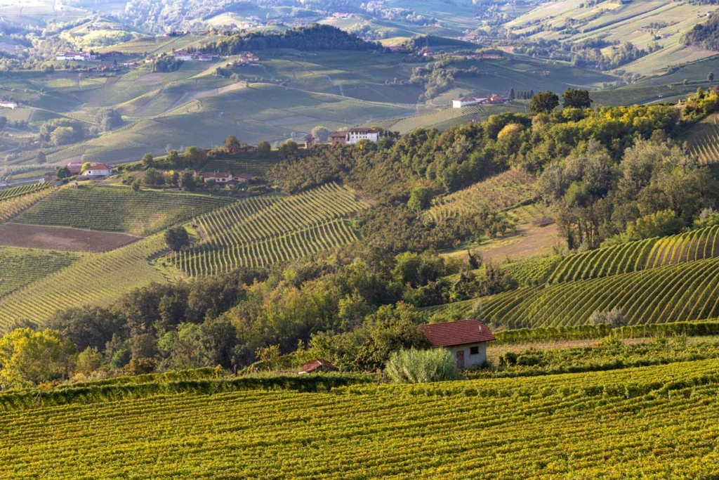 Monferrato e sapori